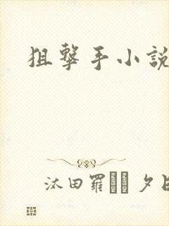 狙击手小说