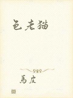 色老猫封面