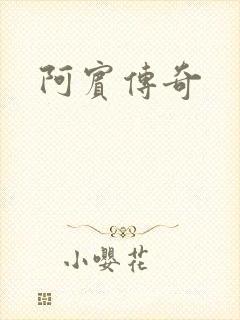 阿宾传奇