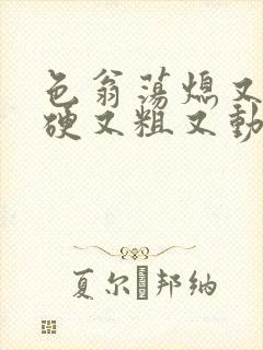 色翁荡熄又大又硬又粗又动态图