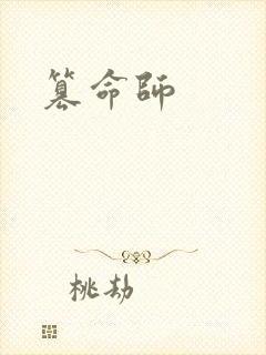 篡命师封面