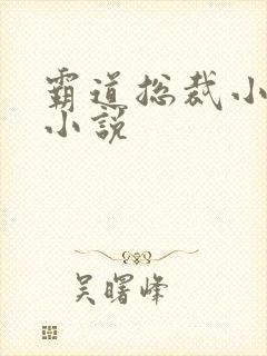 霸道总裁小娇妻小说封面