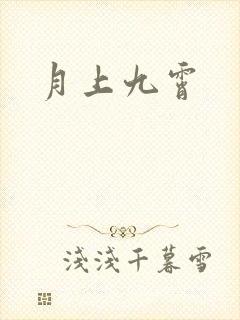 月上九霄封面