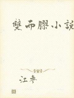 双面胶小说