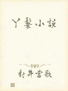 丫鬟小说