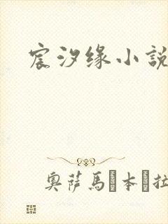 宸汐缘小说