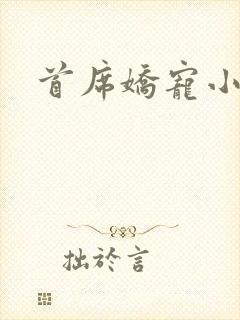 首席娇宠小情人