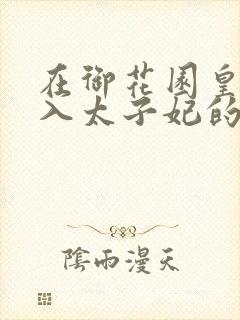 在御花园皇上进入太子妃的小说