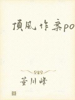 顶风作案po封面