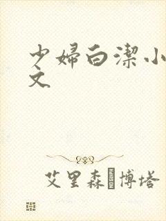 少妇白洁小说全文