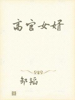 高官女婿封面