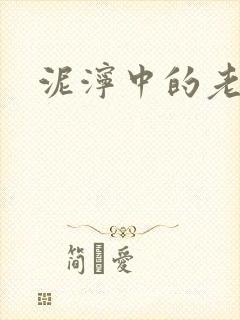 泥泞中的老虎