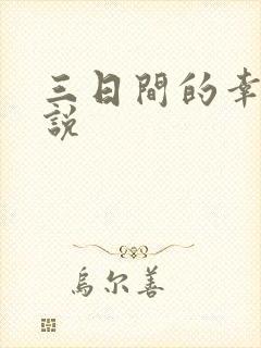 三日间的幸福小说封面