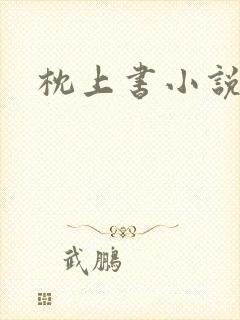 枕上书小说