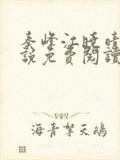 秦峰江晓晴的小说免费阅读封面