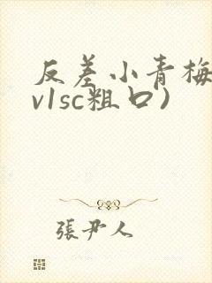反差小青梅(1v1sc粗口)