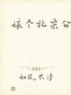 嫁个北宋公务员
