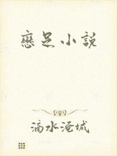 恋足小说