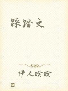 踩踏文封面