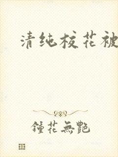 清纯校花被c封面