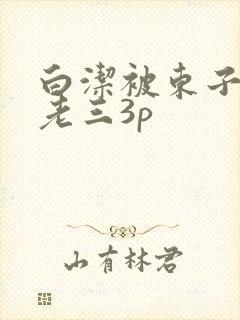白洁被东子老二老三3p封面