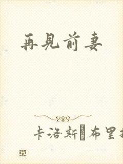 再见前妻