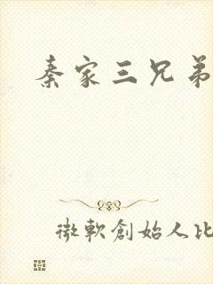 秦家三兄弟封面