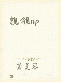 觊觎np