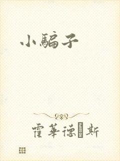小骗子