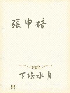 张申碚