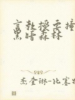 言教授要撞坏了黑暗森林封面