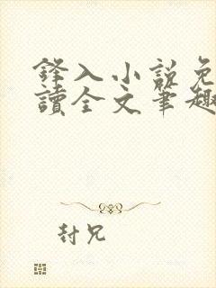 锋入小说免费阅读全文笔趣阁封面