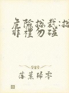危险总裁:总裁非礼勿碰