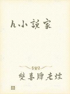 h小说家