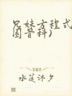 兄妹方程式(校园骨科)