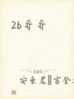 2b哥哥