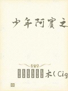 少年阿宾之学姐封面