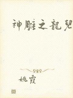 神雕之龙儿别传封面