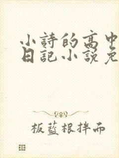 小诗的高中成长日记小说免费阅读