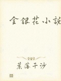 金银花小说乐可封面