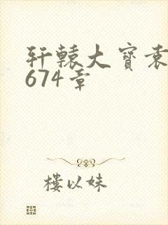 轩辕大宝袁雪妃674章