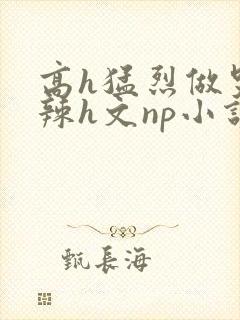 高h猛烈做哭高辣h文np小说封面