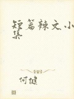 短篇辣文小说合集封面