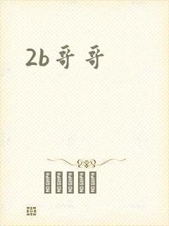 2b哥哥封面