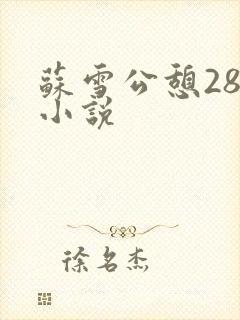 苏雪公憩28篇小说封面
