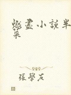 燃尽小说半截白菜