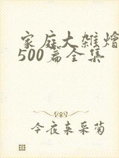 家庭大杂烩小说500篇全集