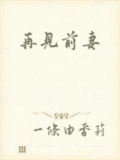 再见前妻