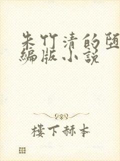 朱竹清的堕落改编版小说封面