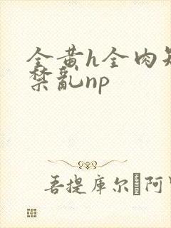 全黄h全肉短篇禁乱np封面